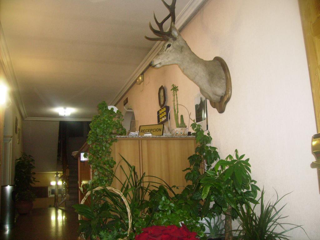Hotel Las Nieves Las Nieves  Luaran gambar